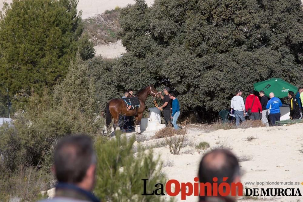 Entrenamiento Caballos del Vino