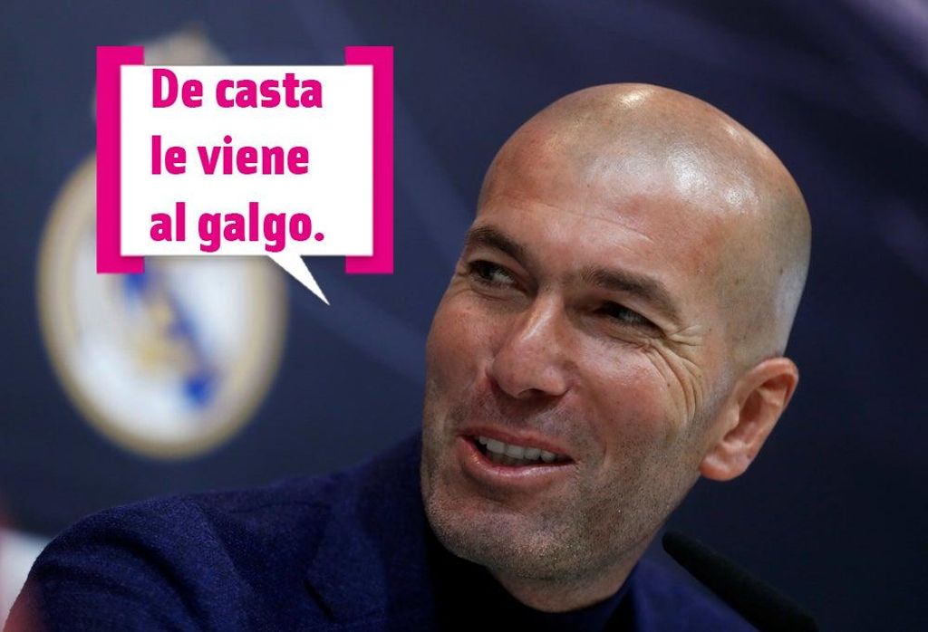 Zinedine Zidane dice: De casta le viene al galgo