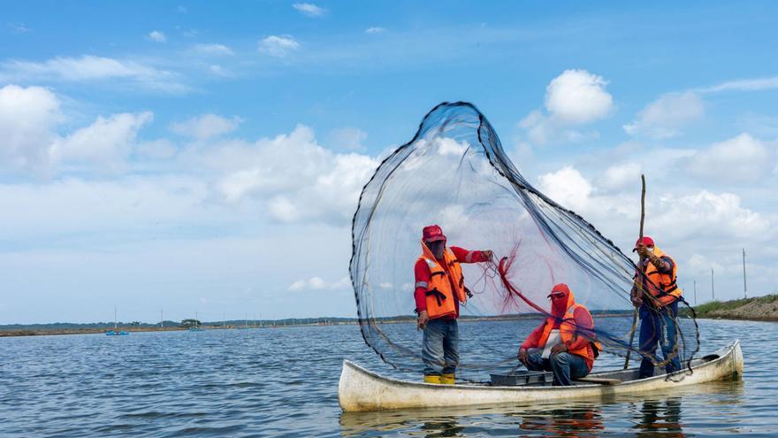 Pescanova consuma el “sorpasso” e ingresa más de la acuicultura que por pesca salvaje