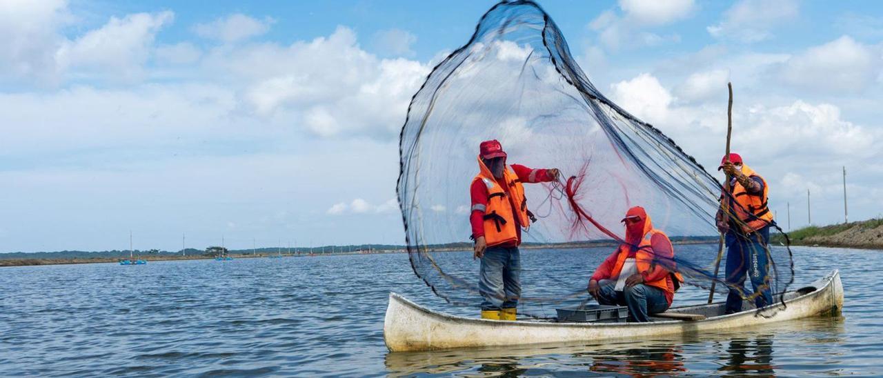 Empleados de Pescanova en la filial acuícola de Ecuador, Promarisco. / NPVA