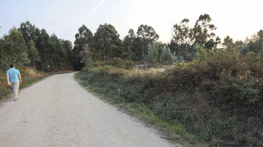 Zona en la que Gesmaga quiere construir la planta de residuos industriales.