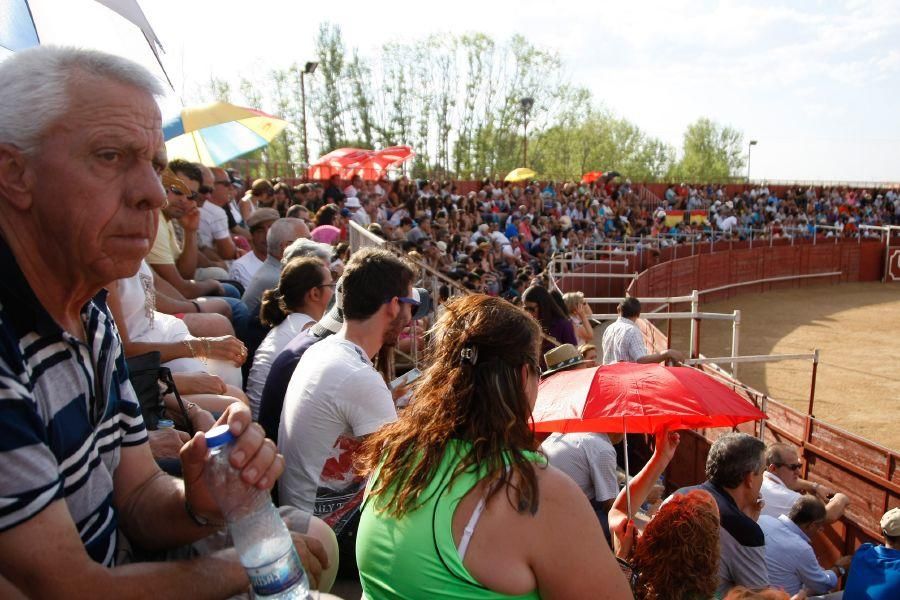 Fiestas en Zamora: Recortes en Villalpando