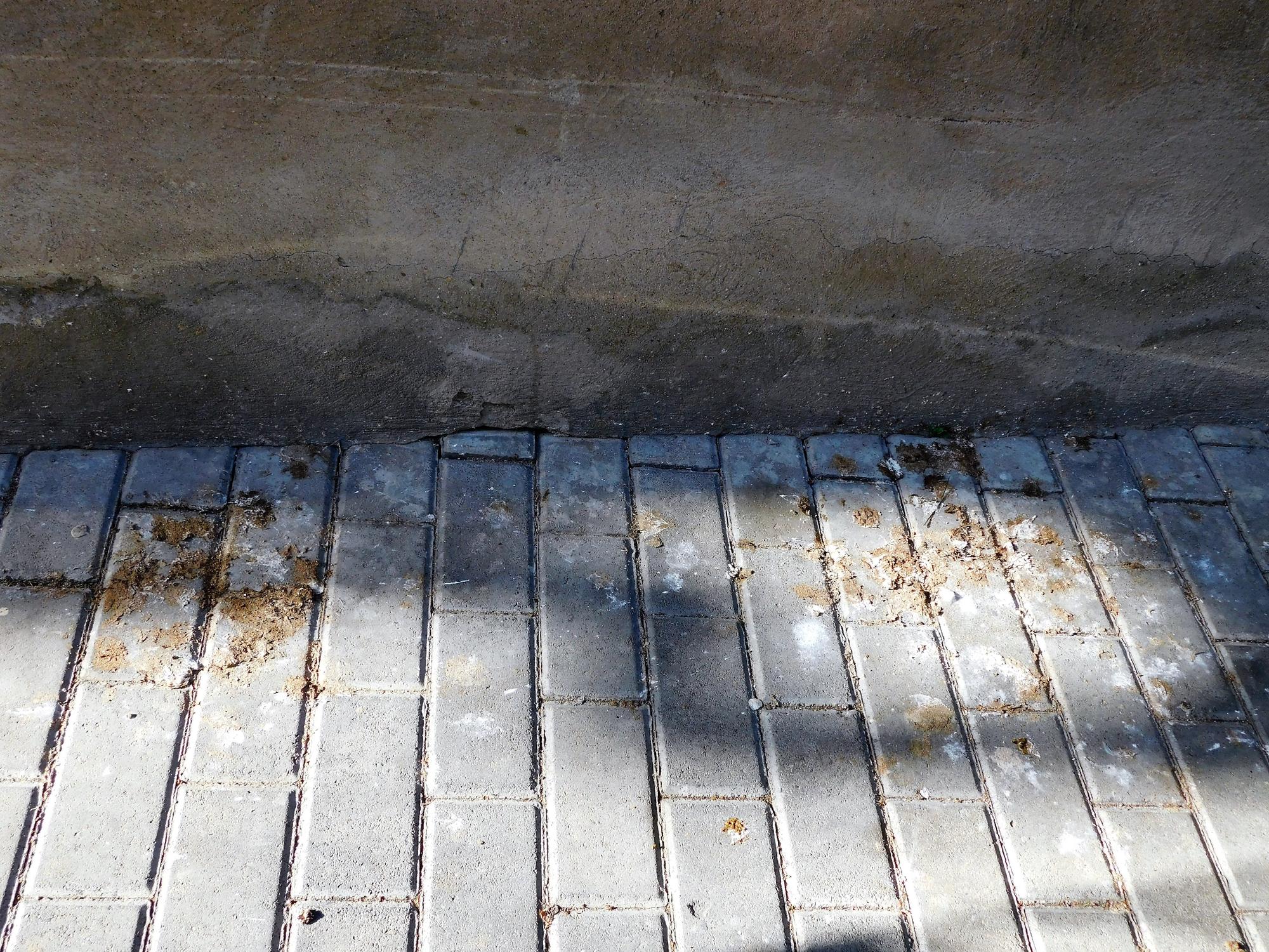 Excrements de coloms a carrers de Manresa