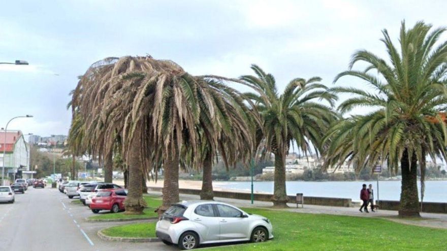 Seoane anuncia 14 plazas más para aparcar en la avenida de Santa Cristina tras las obras