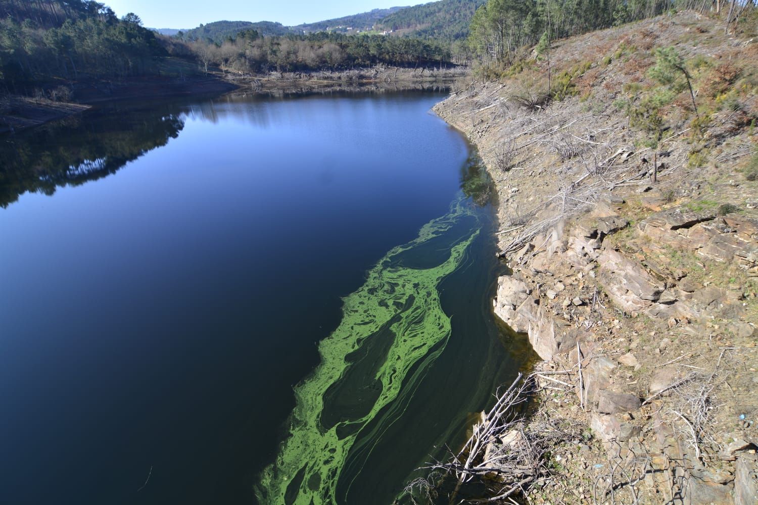 Microcistina en las aguas del pantano.