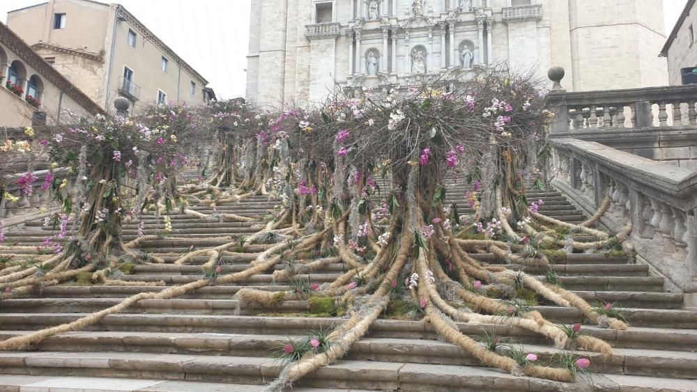 Girona, Temps de Flors 2019