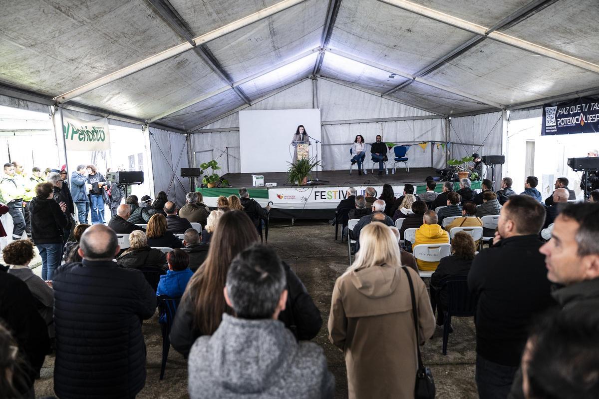 Pescueza: de Festivalino a Festivalazo