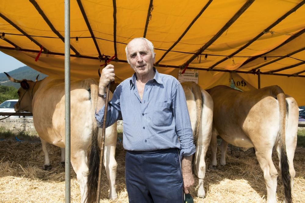 Feria de ganado en Santullano