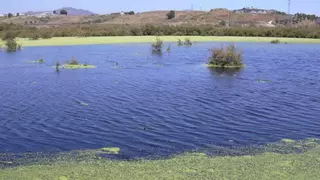 Con Málaga pide al Ayuntamiento que reciba la Laguna de los Prados del Gobierno a cambio de VPO
