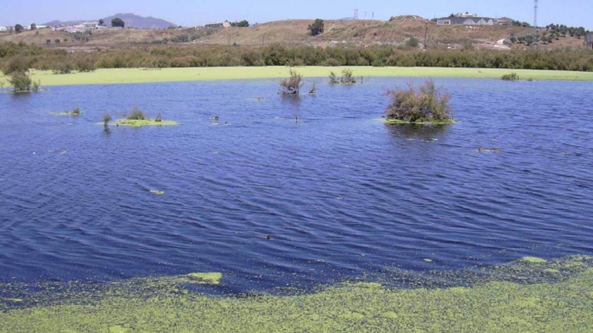 La laguna de Los Prados en los años 90.