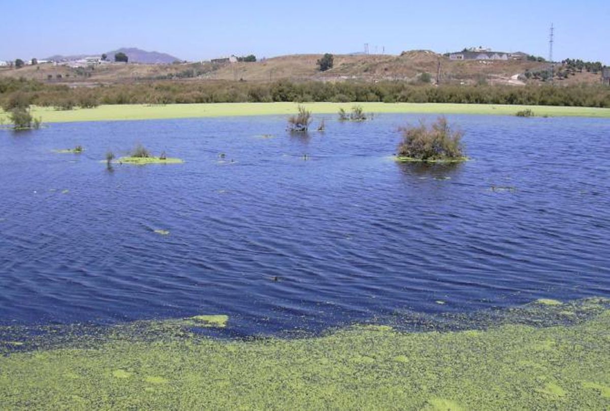 La laguna de Los Prados en los años 90.