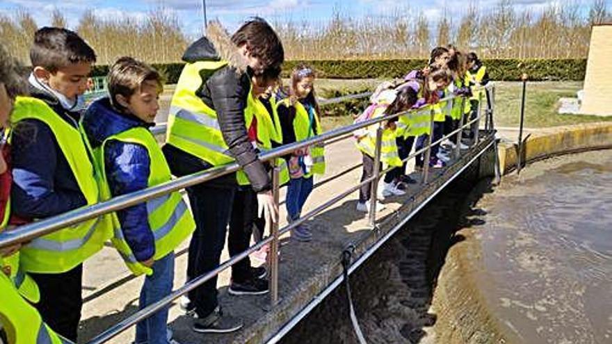 Más de 20 alumnos del CEIP Pinar conocen las instalaciones del &quot;Ciclo del Agua&quot;