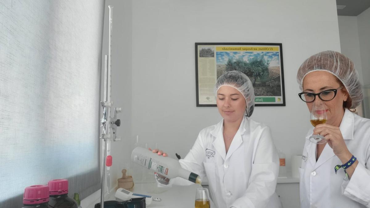 Técnicas de Castillo de Canena durante sus trabajos para analizar la calidad de sus aceites.