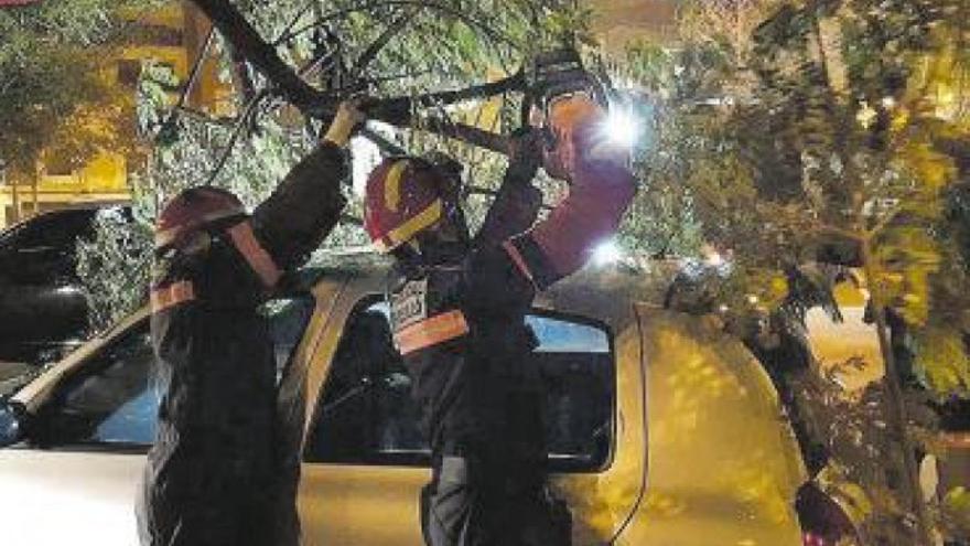 Daños en ventanas y árboles caídos por el viento en Castellón