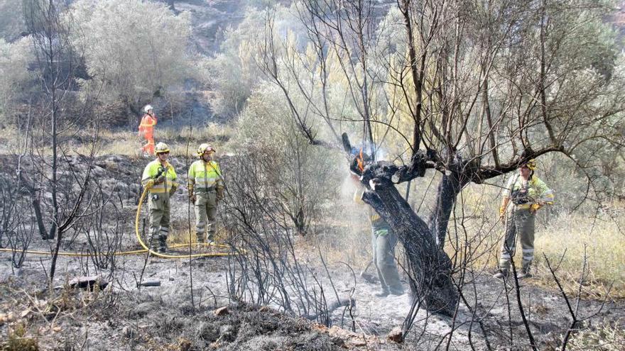 Los bomberos extinguen el incendio en Jérica.