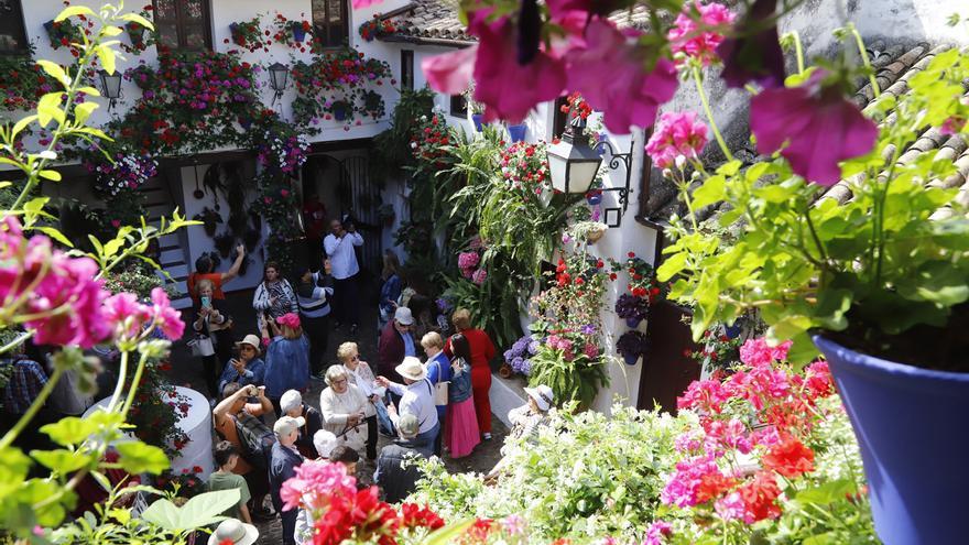 San Basilio 44