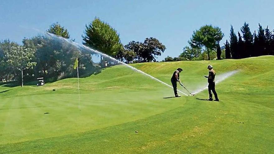 Umweltschützer fordern Schließung der Golfplätze