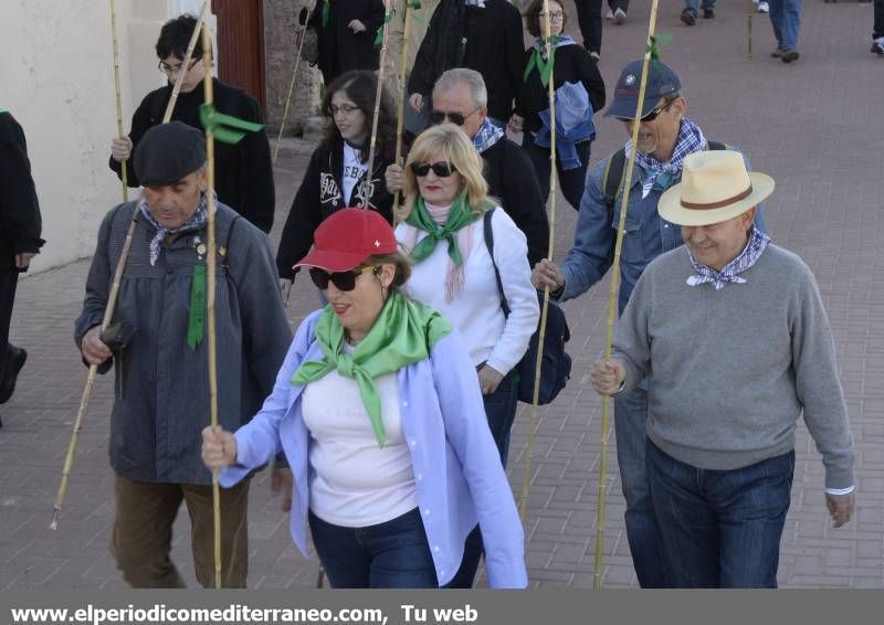 GALERÍA DE FOTOS - Romería Magdalena 2014 (3)