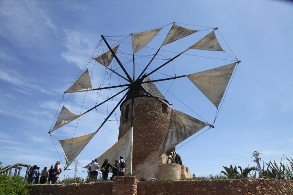 Molinos en Peligro de Extinción