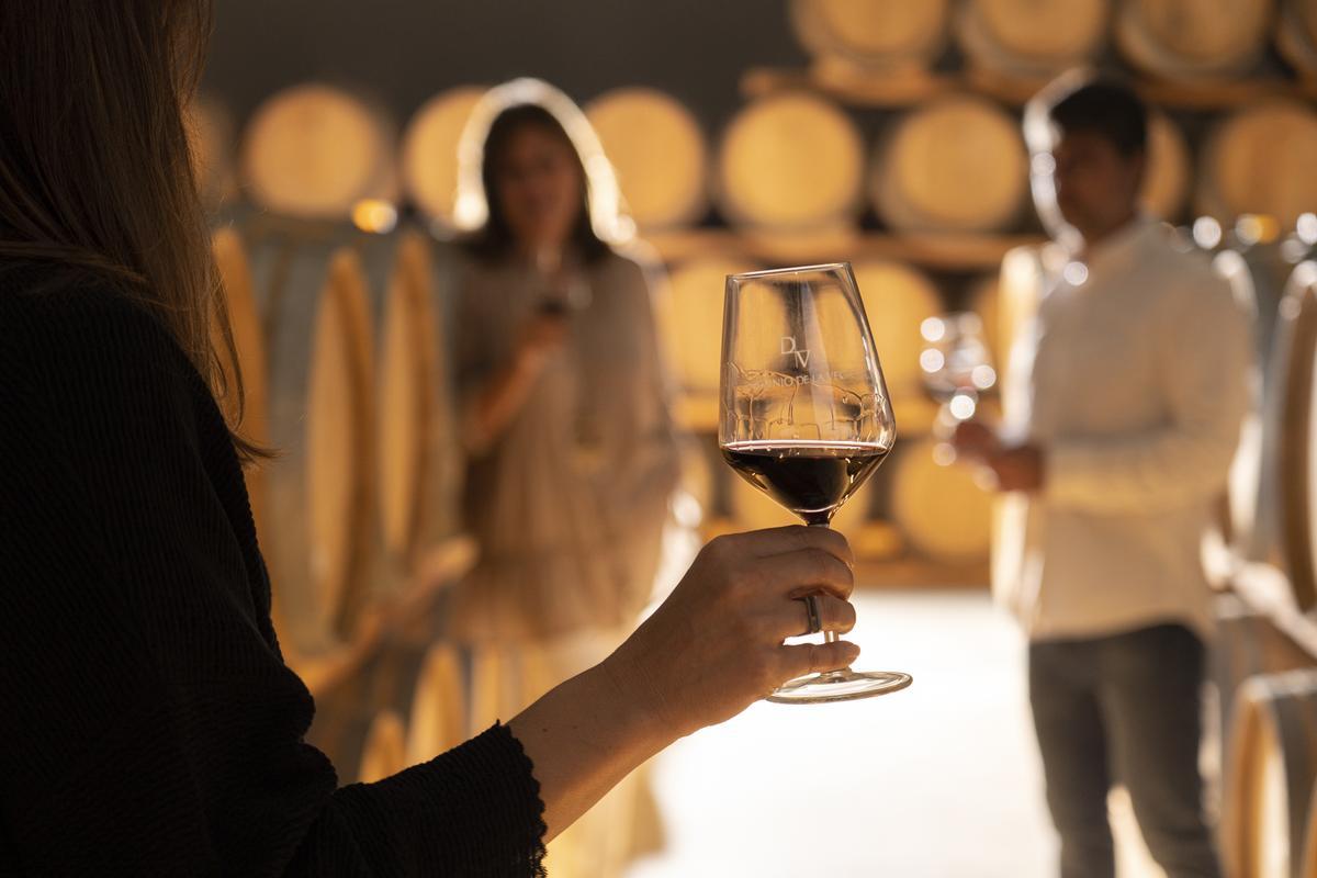 Una cata de vinos.