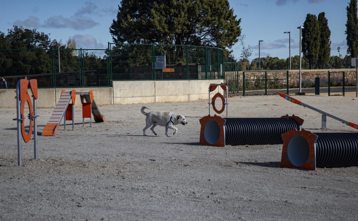 Un parque y muchos espacios, ampliación parque del Príncipe