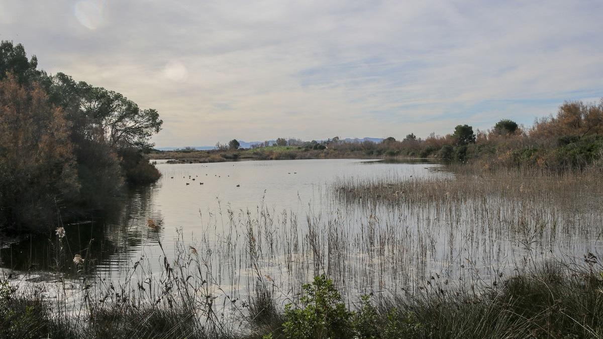 Ribó reclama &quot;una solución definitiva&quot; al Gobierno para el caudal de l&#039;Albufera