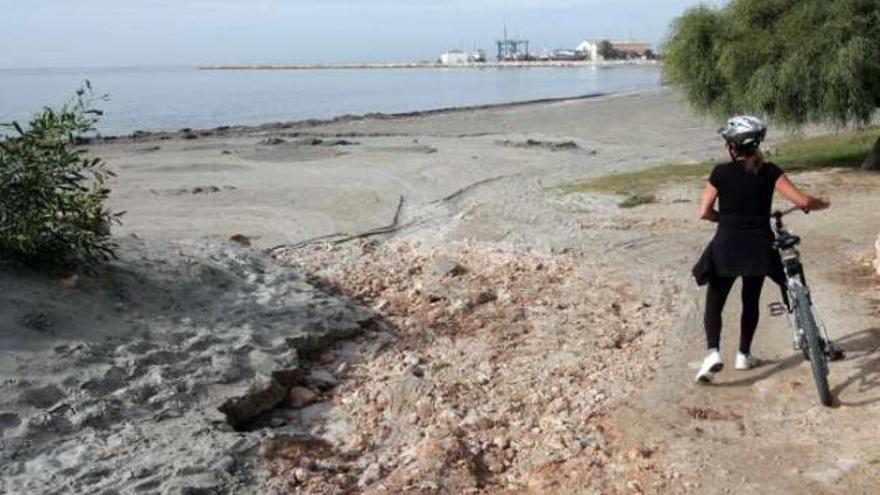 Las playas de Santa Pola tendrán una barrera de algas durante el invierno.