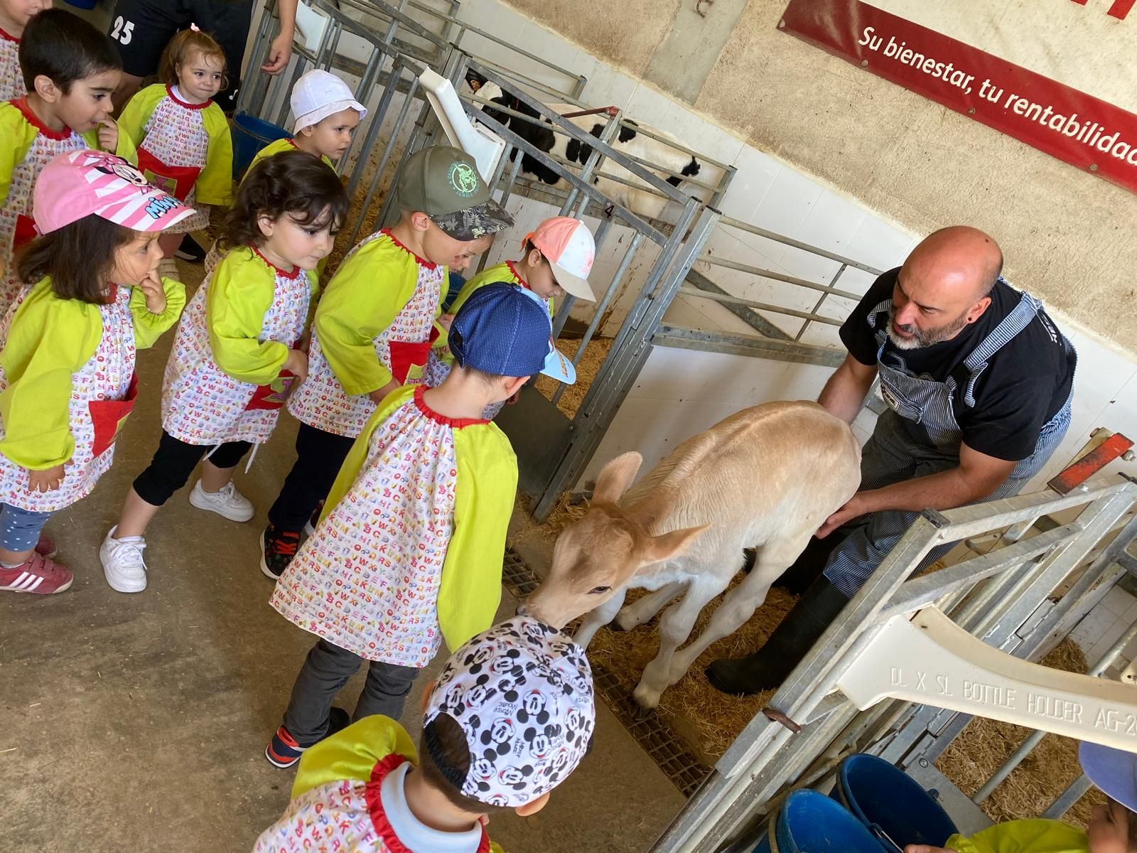 La visita de unos niños de la guardería de Zamroa a una granja de vacas en  Monfarracinos: 