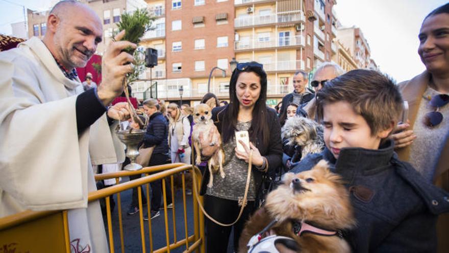 Los animales reciben la bendición de Sant Antoni