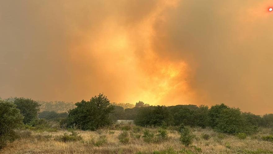 Incendi en territori francès que amençava l&#039;Albera