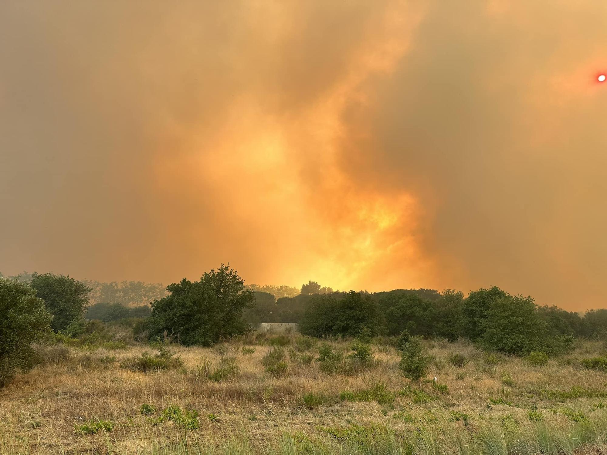 Incendi en territori francès que amençava l'Albera