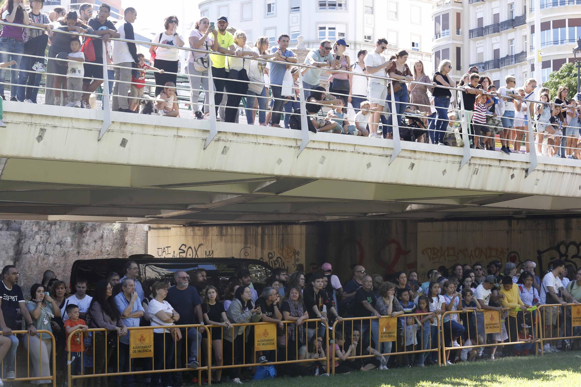 La Feria Animalista de València, en imágenes