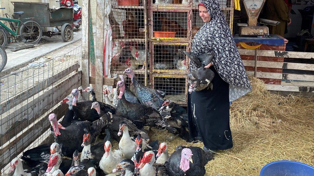 Una vendedora de patos en el mercado popular del barrio Al Arab de Port Said, en el noreste de Egipto.