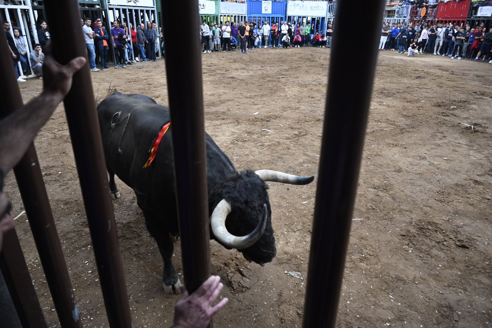 Galería | Las imágenes de la penúltima tarde de toros de las fiestas de Almassora