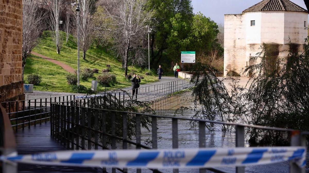 El Guadalquivir a su paso por Córdoba, en alerta.
