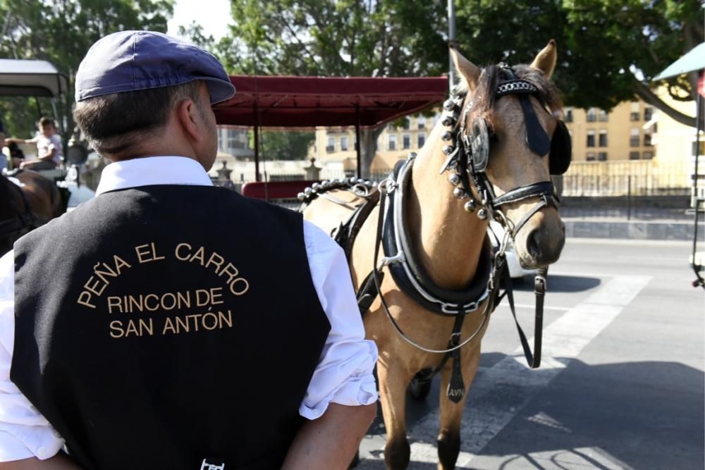 Ruta en carro al corazón de la Huerta