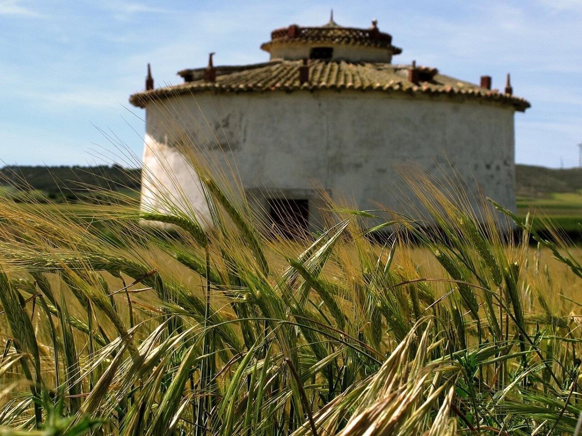 Tierra de Campos (Castilla y León)