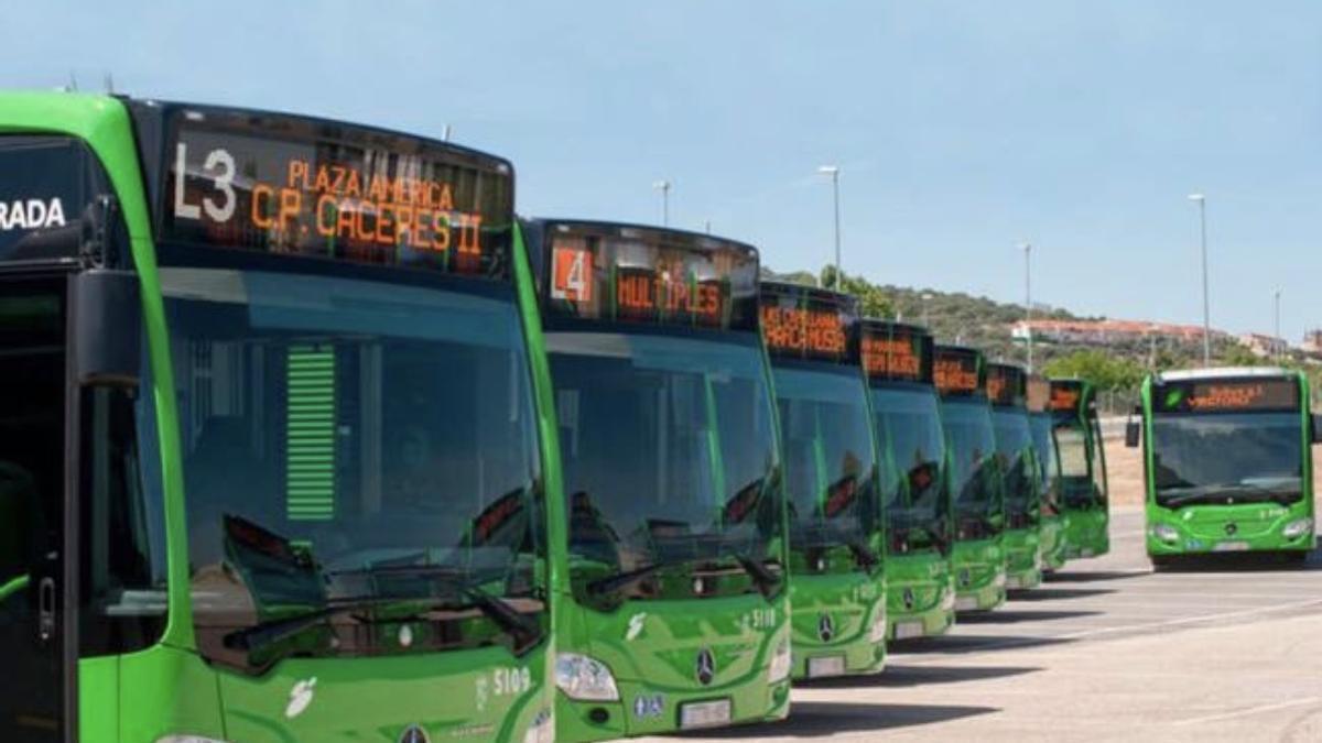 Autobuses urbanos de Cáceres.