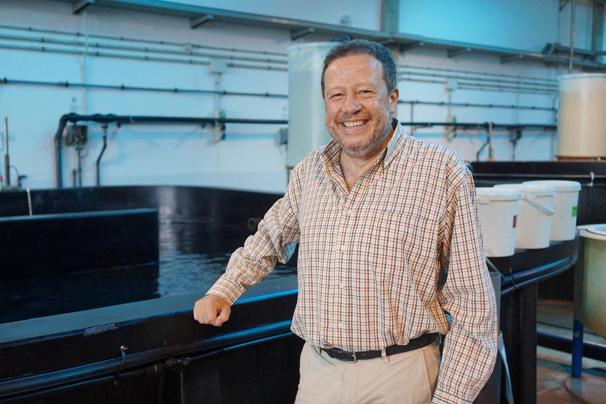 ECOAQUA lleva a Vigo sus últimos avances en acuicultura sostenible, nutrición y bienestar animal ECOAQUA lleva a Vigo sus últimos avances en acuicultura sostenible, nutrición y bienestar animal