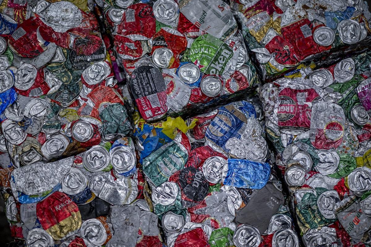 Latas en la planta de selección