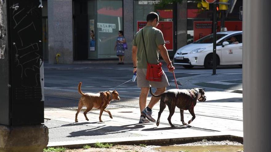 Las residencias caninas, contra los paseadores de mascotas
