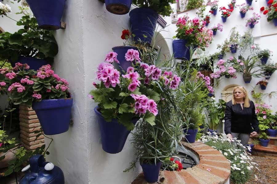 Los patios de Córdoba, San Lorenzo 2