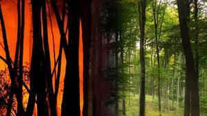 Galícia estrenarà abans de l’estiu els seus dos primers tallafocs d’última generació