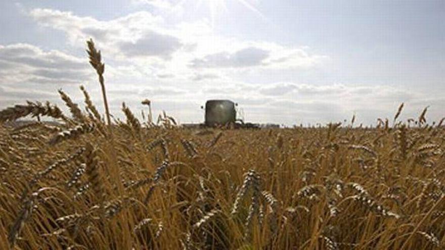 La cosecha del cereal y los rayos, principales riesgos de incendios