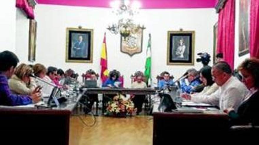 Aprobadas modificaciones en el ICIO y otras siete ordenanzas