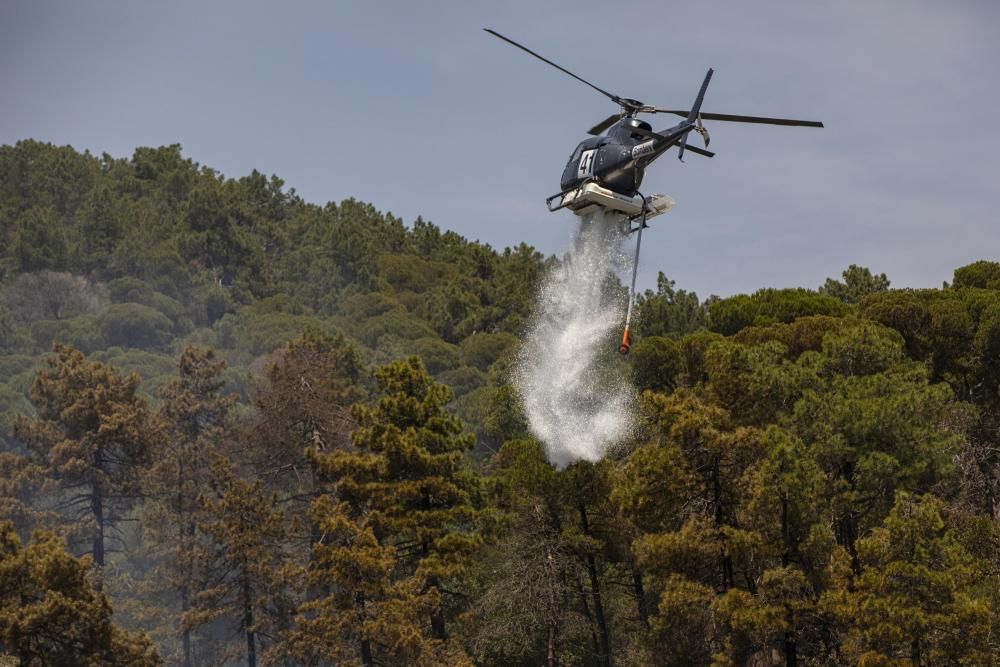 Incendi forestal en una urbanització de Lloret