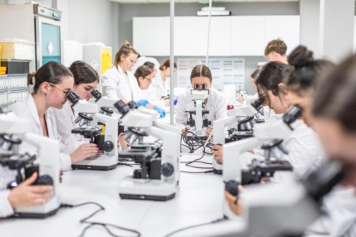 El Centro Docente Privado Salvador de Córdoba ofrece ciclos formativos de la rama sanitaria.