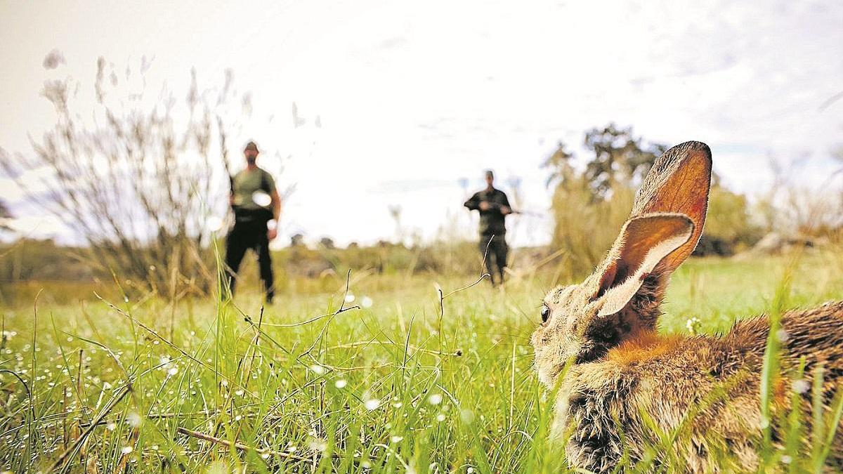 Cazadores: ¿Hay que llevar mascarilla?