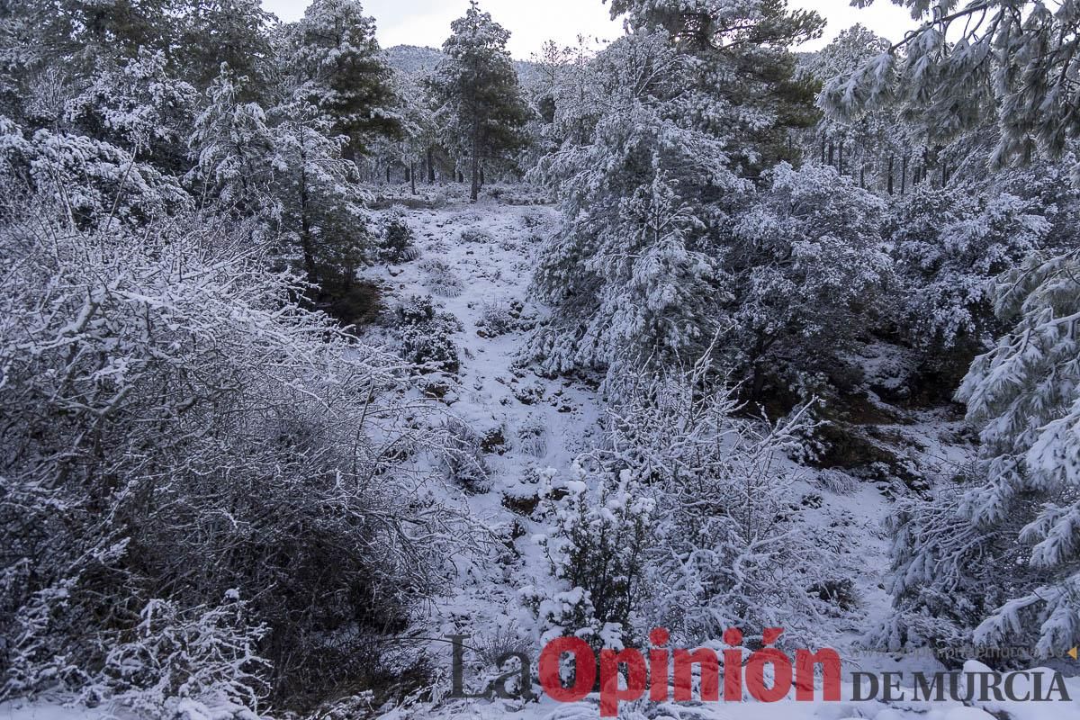 Descubre dónde queda acumulación de nieve en la Región de Murcia