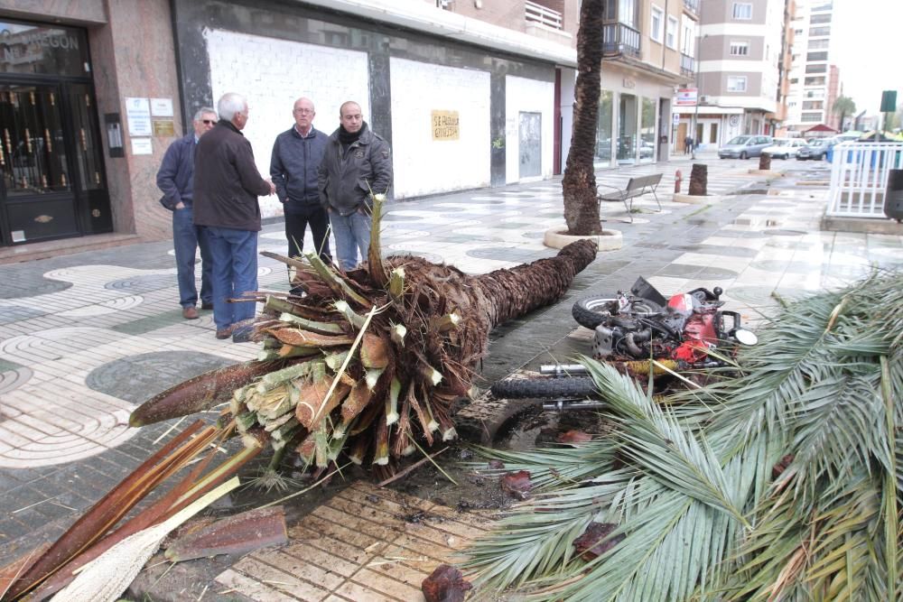 El temporal de lluvia causa estragos en Murcia